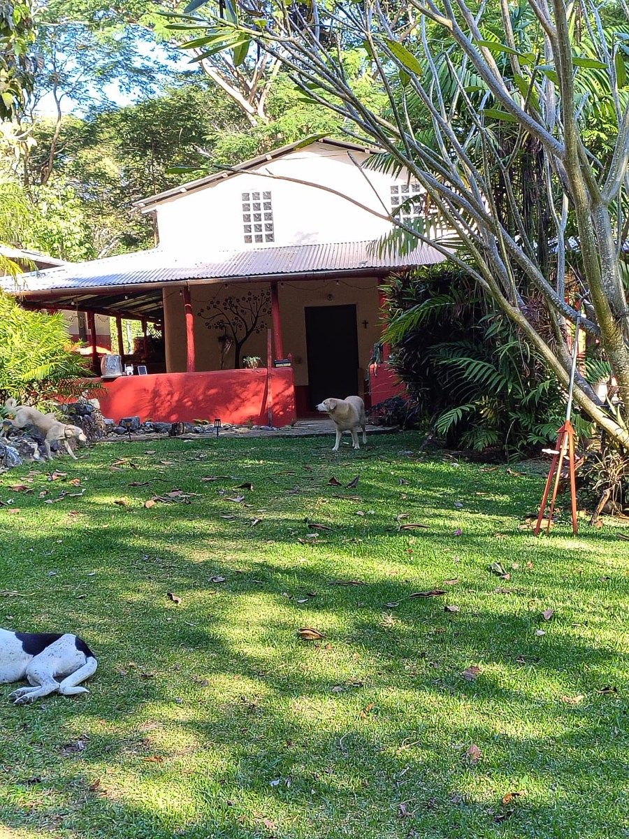 VENTA DE RANCHO CAFETALERO EN SAN MIGUEL DEL PUERTO, POCHUTLA, OAXACA.